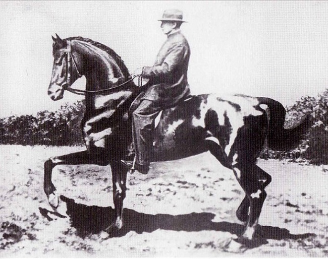 Beudant on Vallerine, an Anglo-Arab mare he trained when he was practically an invalid