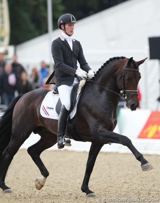 Diederik van Silfhout and Don Tango at the 2013 World Young Horse Championships :: Photo © Astrid Appels