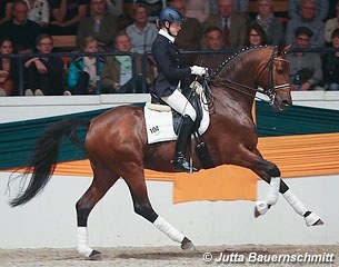 Connery at the Trakehner Stallion Licensing in 2012 :: Photo © Jutta Bauernschmitt