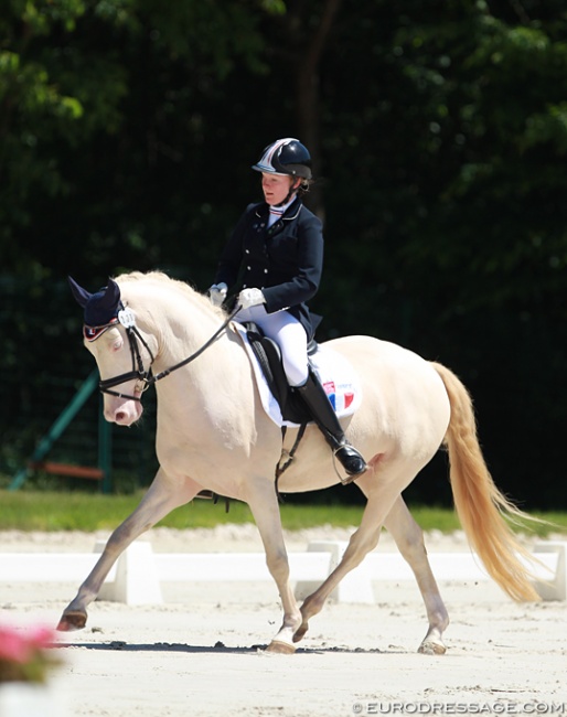 The Desjardins family's Domenik at the 2015 CDIO Compiegne :: Photo © Astrid Appels