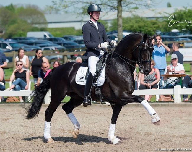 Diederik van Silfhout back on Galaxie for the Van Uytert stallion show on 22 April 2018 :: Photo © Esmee van Gijtenbeek