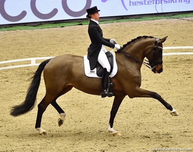 Agnete Kirk Thinggaard and Orthilia at the 2018 CDI Herning :: Photo © Ridehesten
