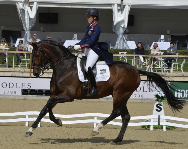 Charlotte Dujardin and Mount St. John Freestyle in action at Bolesworth