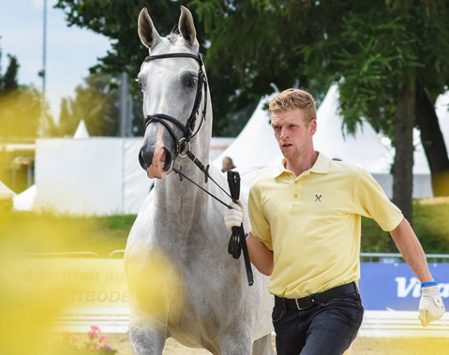 Breed shows, auctions and young horse championships in Verden :: Photo © Tilgner