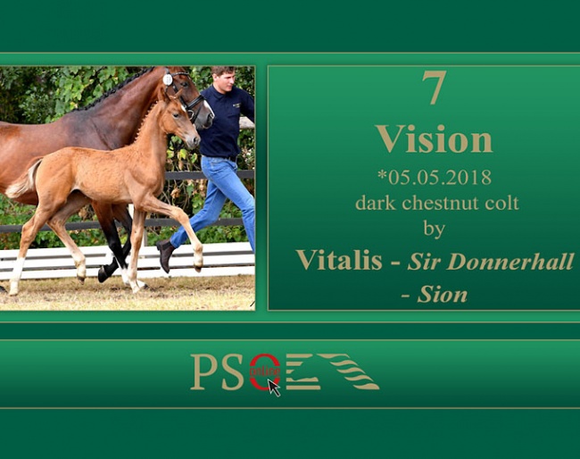 Vision (by Vitalis x Sir Donnerhall)