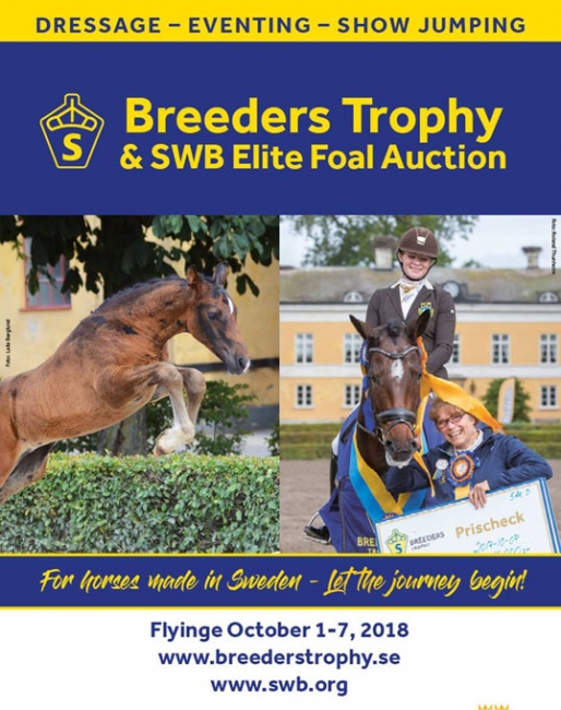 2018 Breeders Trophy and Swedish Warmblood Elite Foal Auction