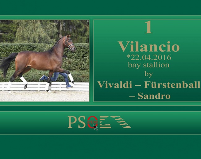 Vilancio (by Vivaldi x Fürstenball x Sandro)