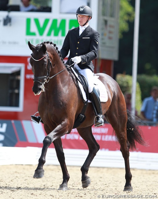 Allan Gron and Zick Flower at the 2014 World Young Horse Championships in Verden :: Photo © Astrid Appels