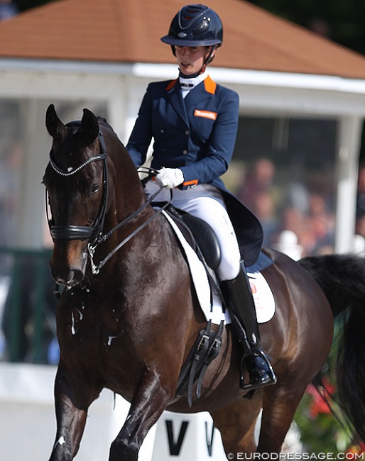 Katja Gevers and Thriller at the 2018 CDIO Compiègne :: Photo © Astrid Appels