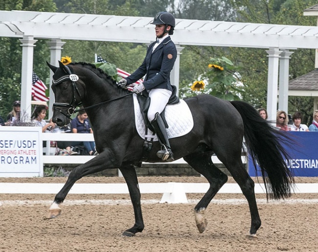 Davos CF (by Dante Weltino) at the 2018 U.S. Young Horse Championships