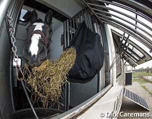 Horse in transport :: Photo © Dirk Caremans