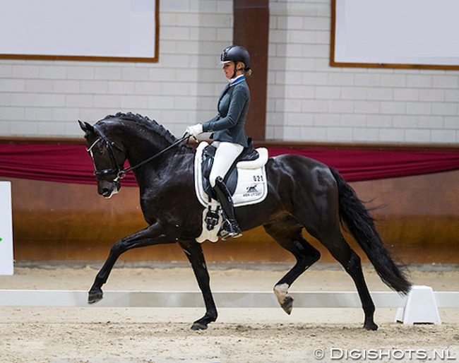 Renate van Vliet on Just Wimhof at the 2018-2019 KWPN Stallion Competition qualifier in Kronenberg :: Photo © Digishots