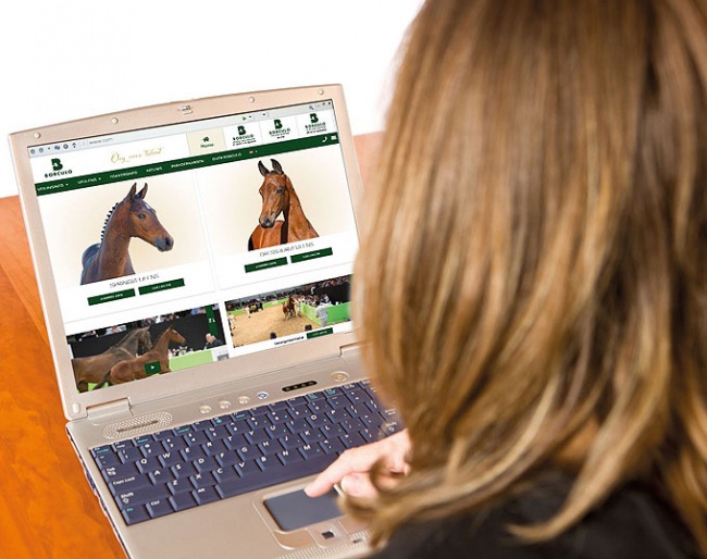 Borculo Online Foal Auction from 26 - 29 April 2019