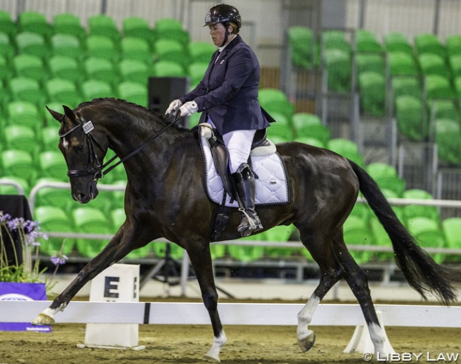 Catherine Smith and Quendrix win the 4-year old division and champion of champions' title at the 2019 New Zealand Young Horse Championships :: Photo © Libby Law