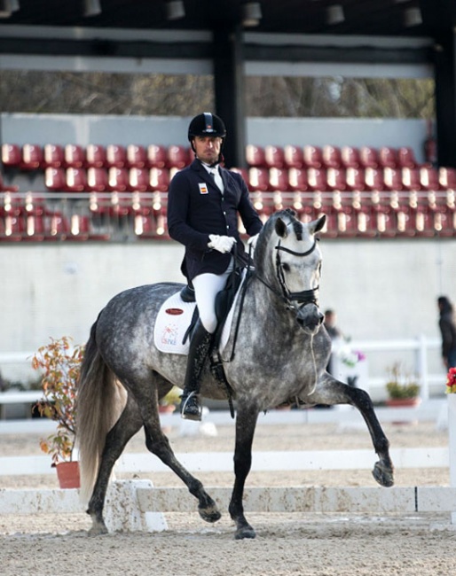PRE World Wide: Mejorano HGF, bred in the U.S.A., American owned and competed for Spain at the 2018 World Young Horse Championships in The Netherlands