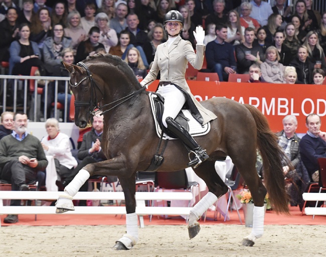 Lotte Skjærbæk on Skovens Rafael at the 2019 Danish Warmblood Stallion Licensing in Herning