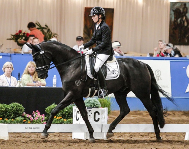 Karen Blythe and Sonic K at the 2019 Australian Young Horse Championships :: Photo © Amy-Sue Alston