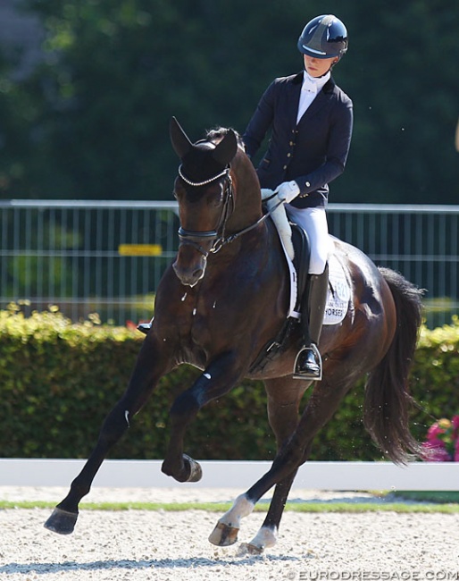 British Charlotte Fry and Inclusive at the 2018 World Young Horse Championships in Ermelo :: Photo © Astrid Appels