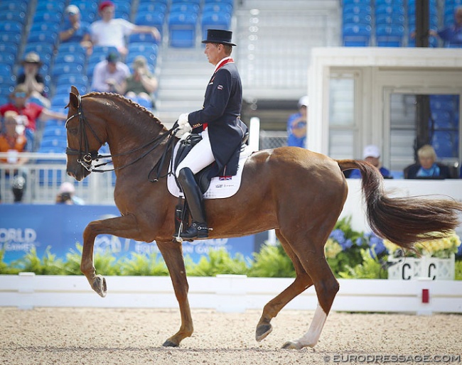 Emile Faurie and Dono di Maggio at the 2018 World Equestrian Games :: Photo © Astrid Appels