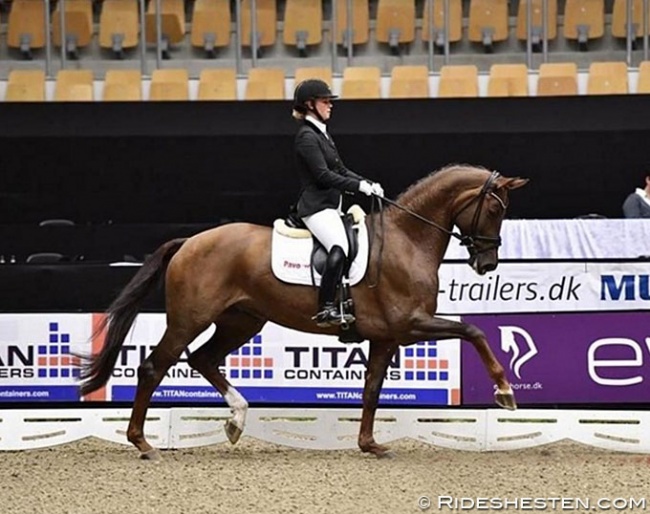 Anna Kasprzak and Victoria's Secret at the 2016 Danish Young Horse Championships :: Photo © Ridehesten