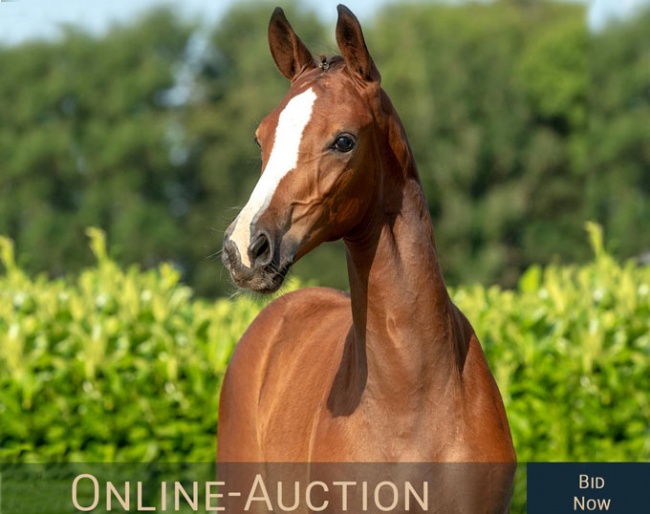 2nd Hof Thelker Online Auction