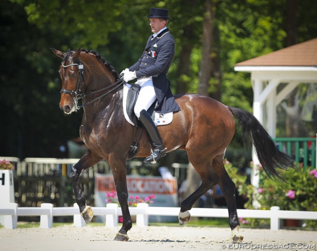 Ludovic Henry and Westwind (aka Wise Guy RS) at the 2015 CDI Compiègne :: Photo © Astrid Appels