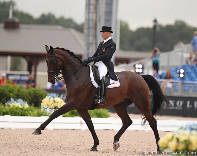 Jeroen Devroe and Eres DL at the 2018 World Equestrian Games in Tryon :: Photo © Astrid Appels