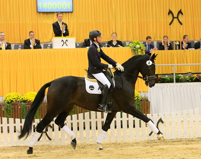 L'Avion (by Livaldon x Longchamp) was auctioned off to Spain for 140,000 euro :: Photo © Tammo Ernst