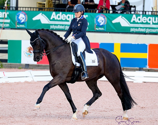 Ashley Holzer and Eastwood at the 2020 CDI-W Wellington :: Photo © Sue Stickle