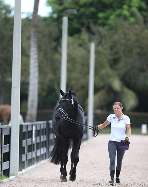 Susan Pape and Don Nobless walking towards the horse inspection at the 2020 CDI 5* Wellington :: Photo © Astrid Appels