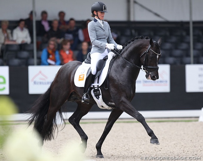 Renate van Uytert and Just Wimphof at the 2019 World Young Horse Championships :: Photo © Astrid Appels