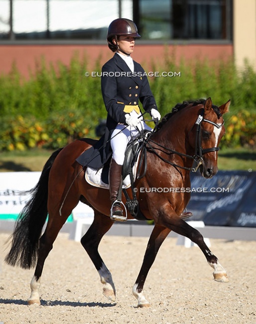 Giulia Gasztecki and Vom Feinsten in the Nurnberger Burgpokal qualifier at the 2012 CDI Perl :: Photo © Astrid Appels