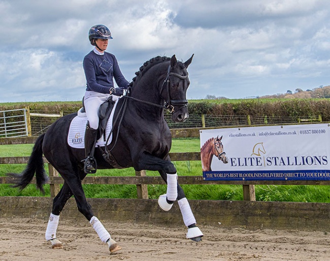 Beth Bainbridge on Galaxico at Elite Stallions on Devon, Great Britain :: Photo © Tanja Davis