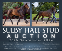 Banner - Sulby Hall