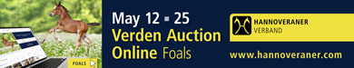 Banner - Hannoverian Auction