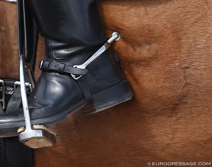 Functionality in Equitation: Skin Damage from Leg Aids