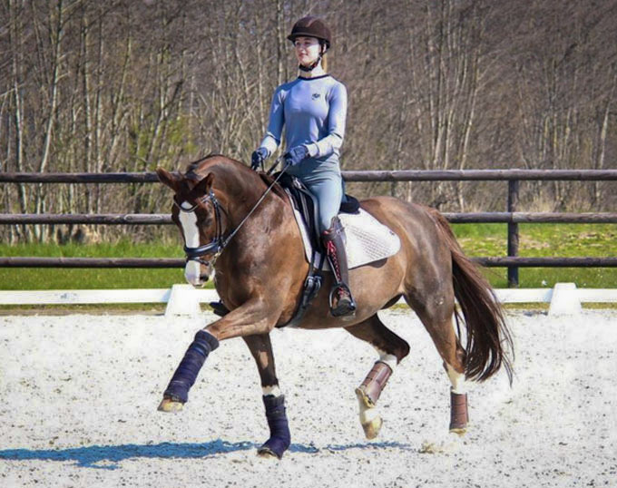 Shona Benner Secures Brisbane as Junior Rider's Horse