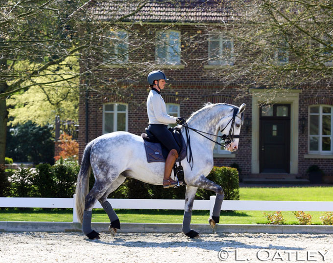 Lyndal Oatley Debuts New Grand Prix Horse, Eros