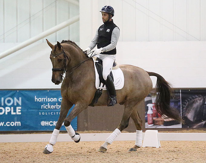 British Dressage National Convention Live and Exclusive on Horse&Country+