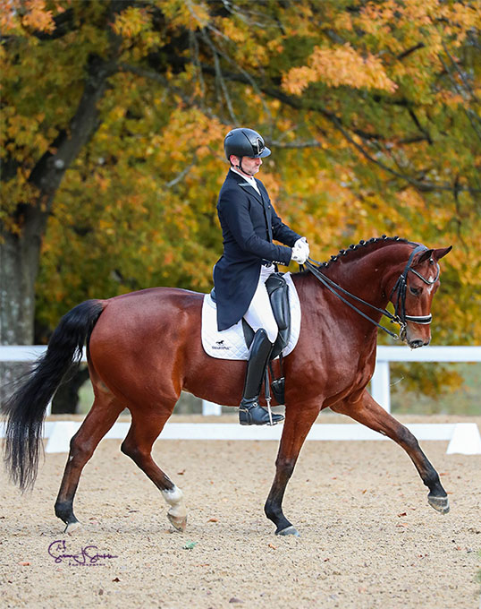 Tidd, Wasemiller, Abrams, Chanca Win Freestyle Titles at 2021 USDF