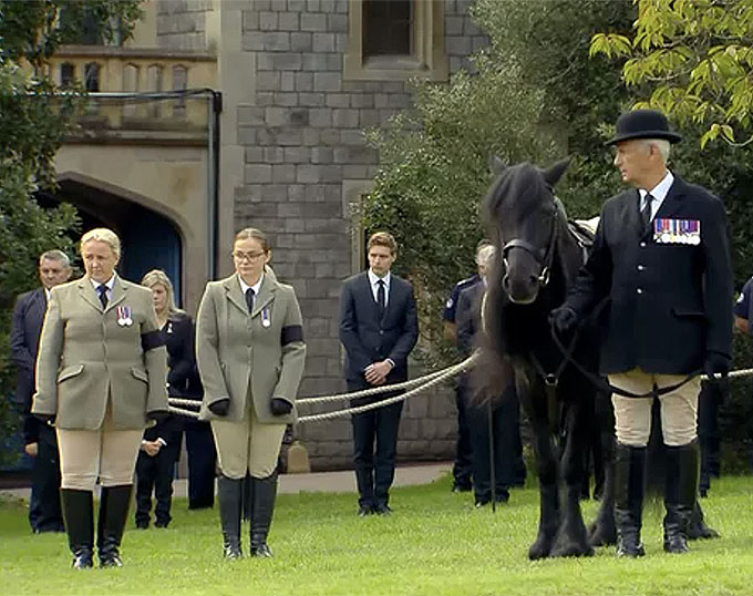 Iconic Moment at Queen Elizabeth II's Funeral: Fell Pony Emma Waiting ...