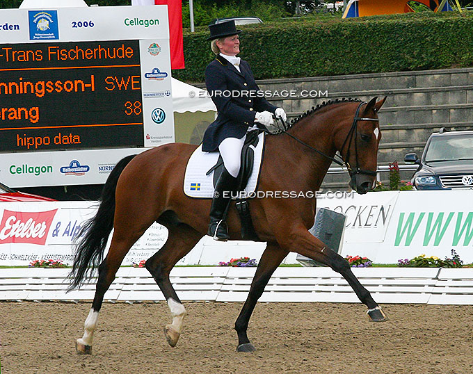 Bomerang Former Swedish Junior Team Horse Passed Away