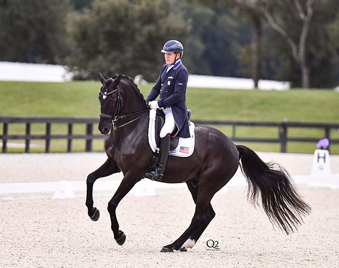 Geryg Dressage Equitation Cravache Equiline