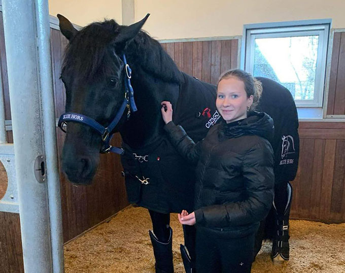 Blue Hors Kingston Sold to Danish Pony Rider