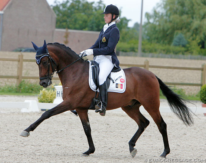 International FEI Dressage Pony Alexandre Dumas Passed Away