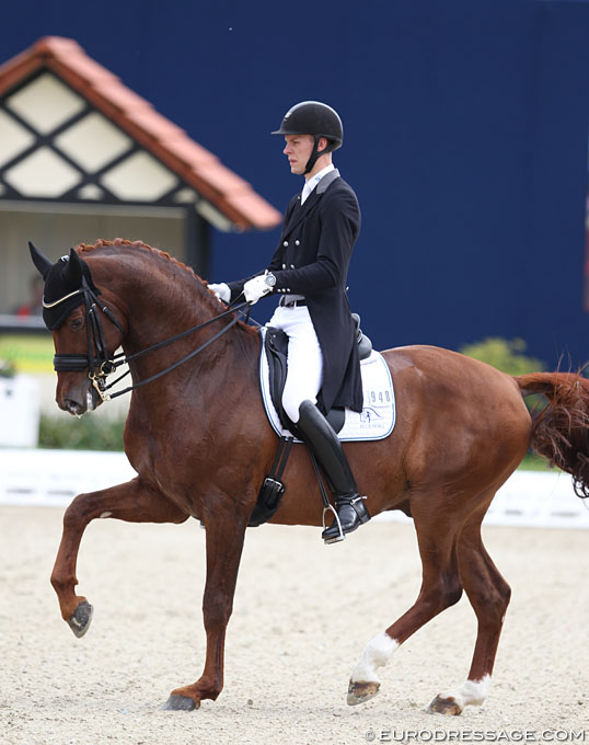 Blue Hors Veneziano and Die Fürstin Win CDN Developing FEI Horse ...