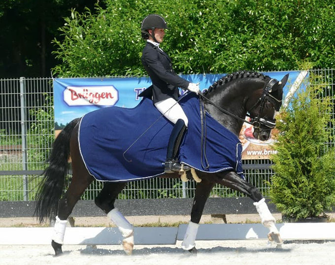 Fifth Avenue And Sandokan Win 2018 Lubeck Bundeschampionate Qualifier