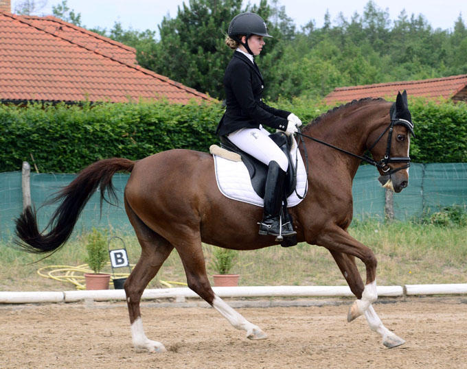 Hungarian Team for 2018 European Pony Championships Named