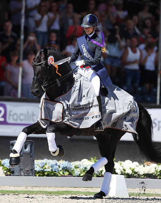 Glamourdale Shining Star of 7 YO Final at 2018 World Young Horse