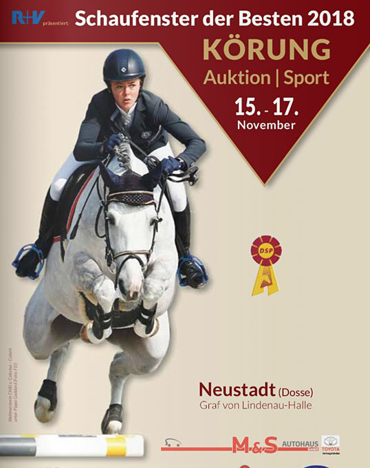 Quinoa Champion Of 2018 German Sport Horse Stallion Licensing